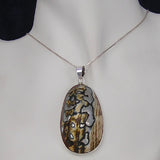 Large Seashell In Silver Pendant with Necklace Chain